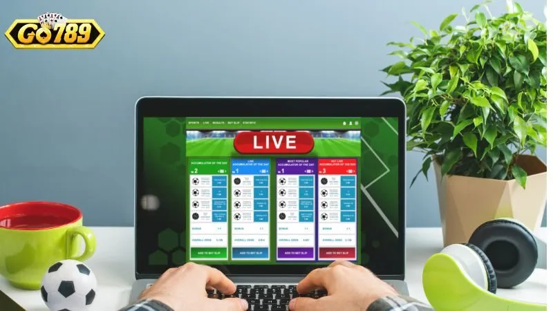 Chương Trình Đại Lý GO789: Cơ Hội Vàng Với Hoa Hồng 50% 1 Vài nhiệm vụ bạn phải chủ động làm